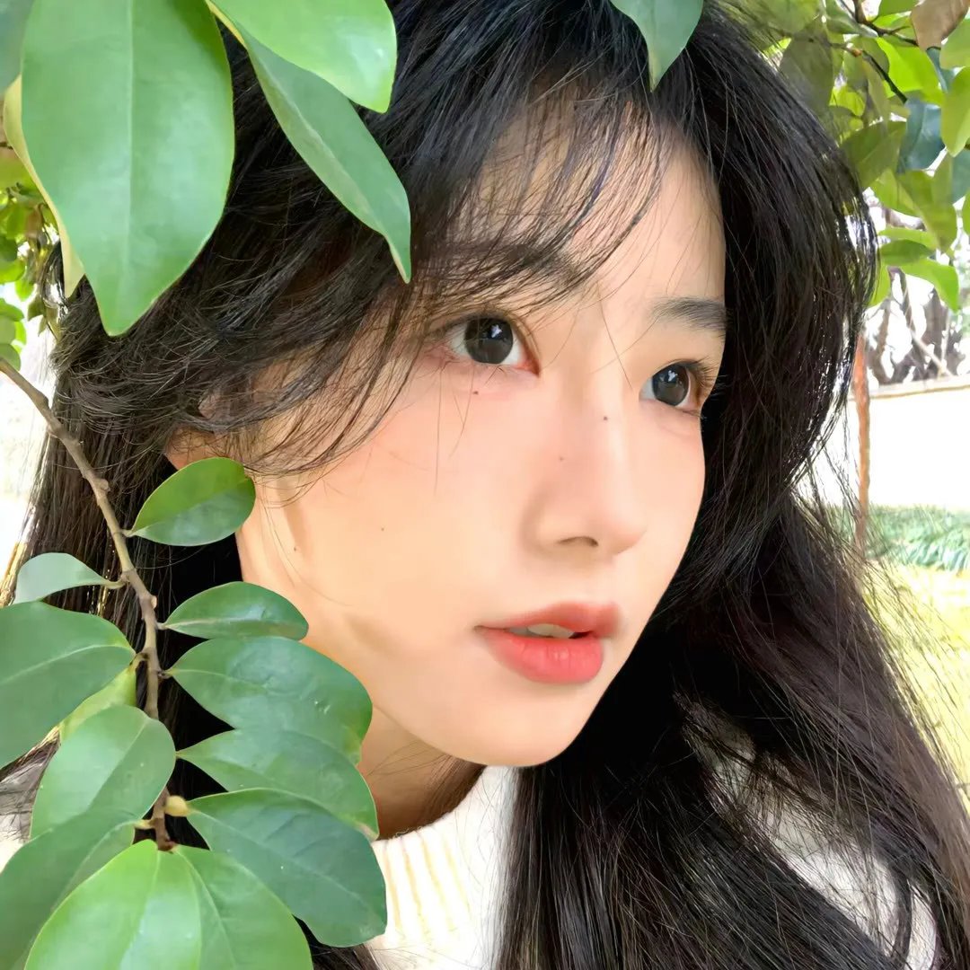 首尔花火